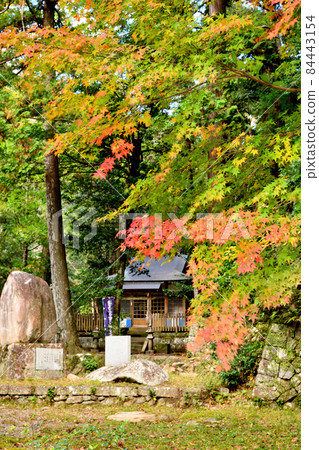 Takijiri Ojisha [Nakahechi-cho, Tanabe City, Wakayama Prefecture] 84443154
