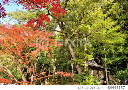 Takijiri Ojisha [和歌山縣田邊市中邊町] 84443157