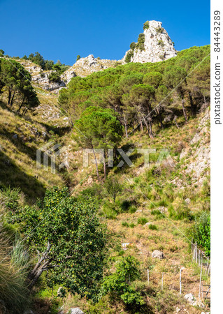 Typical sicilian landscape in the Nebrodi park near the Catafurco waterfalls 84443289