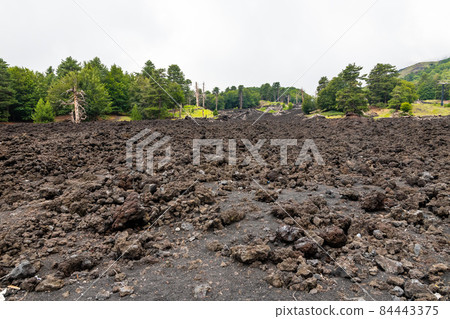 Mount Etna volcanic landscape and its typical vegetation, Sicily Mount Etna volcanic landscape and its typical vegetation, Sicily 84443375