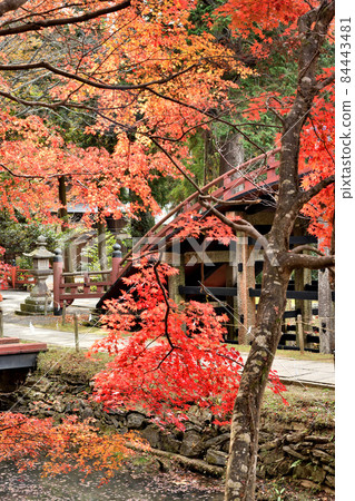 Niutsuhime神社（Rinkyo）[和歌山縣伊東郡葛城町上天野] 84443481