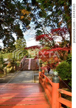 Niutsuhime神社（Rinkyo）[和歌山縣伊東郡葛城町上天野] 84443483