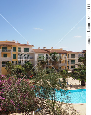 Beauty complex and exotic trees on Sal island in Cape Verde - vertical Beauty complex and exotic trees on Sal island in Cape Verde - vertical 84444111