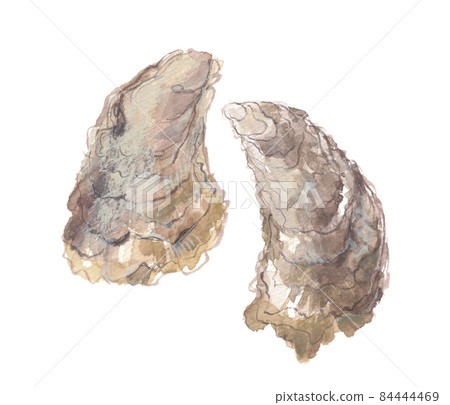 Oyster volley 84444469