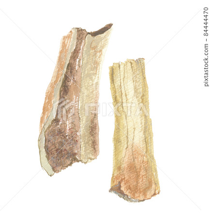 龍骨龍骨 84444470