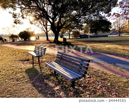 Quiet autumn scene (horizontal) expressed by light and shadow at dusk in a park with benches Quiet autumn scene (horizontal) expressed by light and shadow at dusk in a park with benches 84444583