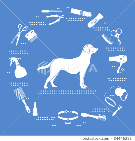 Vector Pet Animal Dog Grooming Shearing Labrador Vector Pet Animal Dog Grooming Shearing Labrador 84446251
