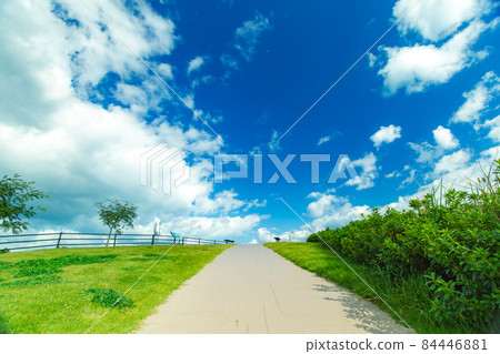 味治龍山公園的景色是最好的 味治龍山公園的景色是最好的 84446881