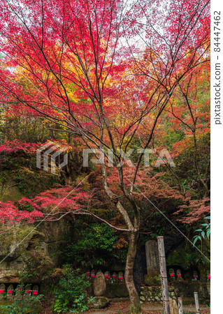 秋洞弘法<岐阜縣土岐市> 秋洞弘法<岐阜縣土岐市> 84447462