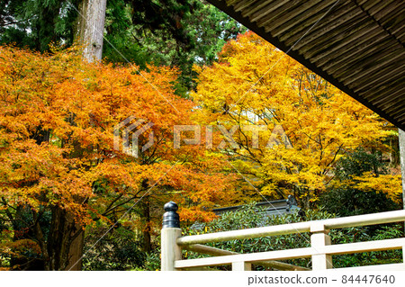 Shikoku Sacred Ground 66th Fudasho, Unbeji Temple in Autumn Leaves Shikoku Sacred Ground 66th Fudasho, Unbeji Temple in Autumn Leaves 84447640