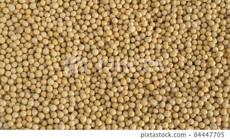 Raw soybeans 84447705