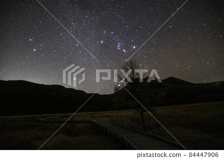 《Chojabaru, Oita Prefecture》 From Tadewara Wetland, the Great Triangle of Winter, Orion and Gemini 84447906