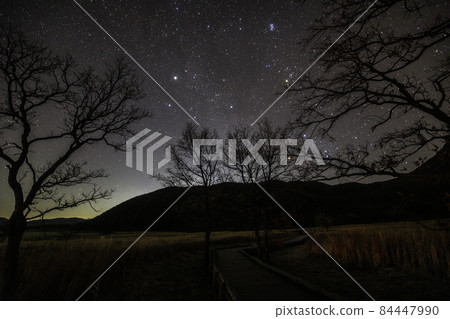 《Chojabaru, Oita Prefecture》 From the Tadewara Wetland, through the gaps between the trees, Auriga 《Chojabaru, Oita Prefecture》 From the Tadewara Wetland, through the gaps between the trees, Auriga 84447990