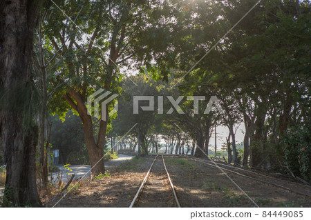 鄉下的鐵路美景 84449085