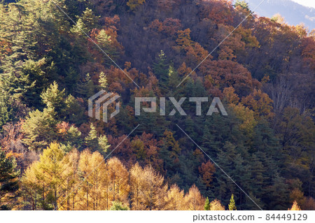 Beautiful mountains and autumnal trees Beautiful mountains and autumnal trees 84449129