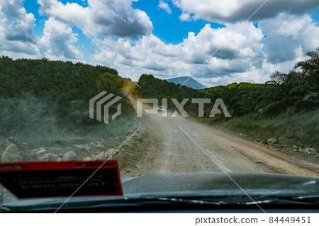 Oil palm field in Borneo, Malaysia [Plantation] 84449451