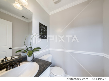 Minimalist powder room design with indoor flowerless orchid 84449576