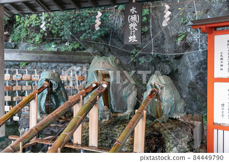 Futamiokitama Shrine Water-giving frog Futamiokitama Shrine Water-giving frog 84449790