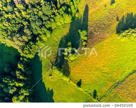 Lush green natural landscape with trees and meadows 84450109
