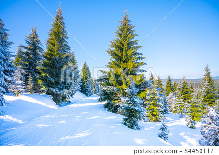 Cross country skiing track in winter Cross country skiing track in winter 84450112