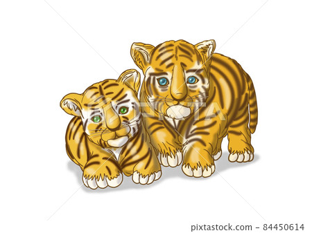 Tiger child brothers Tiger child brothers 84450614