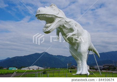 白色的Saurus 白色的Saurus 84450674