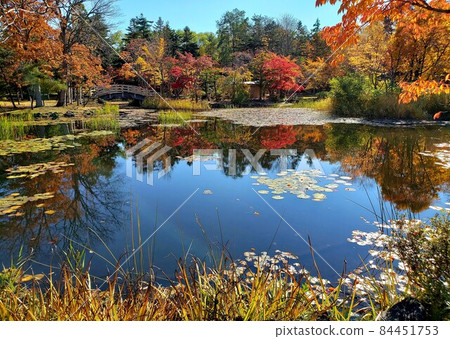 Autumn leaves peaked at Gyokusenkanato Park in Iwamizawa, Hokkaido [October] 84451753