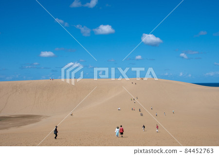 Tottori Sand Dunes The contrast between the dunes and the blue sky is wonderful 84452763