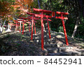 Torii 84452941