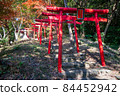 Torii 84452942