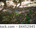 Environmental pollution 84452945