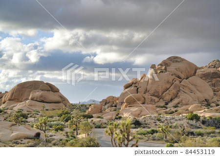 Huge rocks road and joshua trees at Joshua Tree National Park in California 84453119