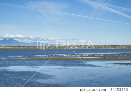 Panoramic view of wetland at scenic Bolsa Chica Ecological Reserve California 84453250