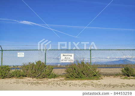 Nesting Area of Bolsa Chica Ecological Reserve with Do Not Enter warning sign 84453259