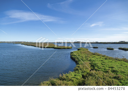Scenic panoramic view of vast wetlands at Bolsa Chica Ecological Reserve Scenic panoramic view of vast wetlands at Bolsa Chica Ecological Reserve 84453278
