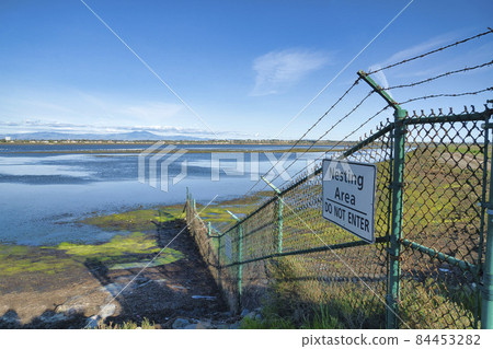 Bolsa Chica Ecological Reserve nesting area for wildlife against wetland and sky 84453282
