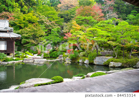 Scenery of Baekje Temple Scenery of Baekje Temple 84453314