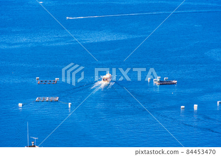 (Shizuoka Prefecture) Numazu City Ura Bay Pleasure Boat / Flocking Seabirds 84453470