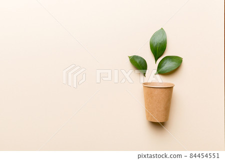 Zero waste cup with green leaf, environmentally friendly, disposable, cardboard, Eco-friendly coffee cup. top View with copy space 84454551