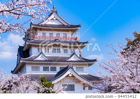 Chiba Castle Inohana Castle Chiba City Folk Museum [Chiba's Cherry Blossom Spot] 84455412