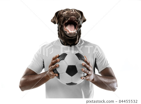 Contemporary artwork, conceptual collage. Young man, professional football player headed by dog head isolated on white background. Surrealism 84455532