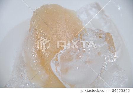 A large frozen scallop scallop (for sashimi) is thawed in a container containing salt and ice. A large frozen scallop scallop (for sashimi) is thawed in a container containing salt and ice. 84455843