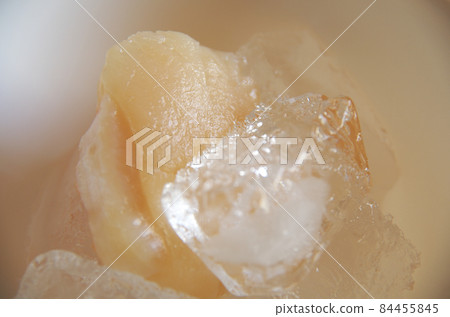 A large frozen scallop scallop (for sashimi) is thawed in a container containing salt and ice. A large frozen scallop scallop (for sashimi) is thawed in a container containing salt and ice. 84455845