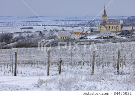 Konice church with vineyard, Znojmo region, Southern Moravia, Czech Republic Konice church with vineyard, Znojmo region, Southern Moravia, Czech Republic 84455921
