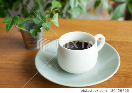 Houseplants and hot coffee Houseplants and hot coffee 84456766