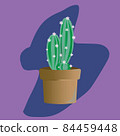 Cactus with flowers in clay pot. vector illustration 84459448