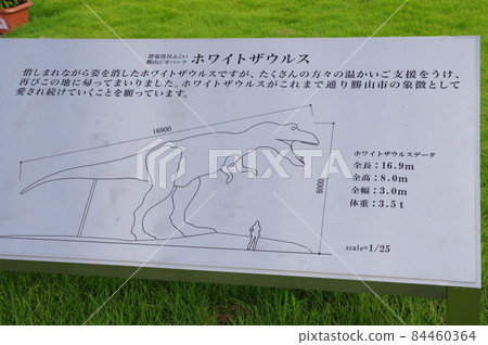 白色 Zaurus 信息板 84460364