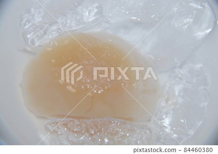 A large frozen scallop scallop (for sashimi) is thawed in a container containing salt and ice. 84460380