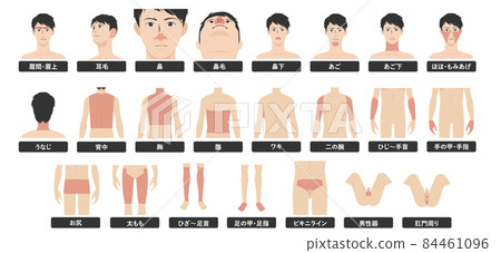 Image illustration of a white background indicating the whole body of a young Asian man's hair removal esthetic 84461096
