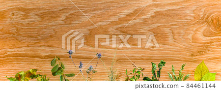 Arrangement of grass on a wooden background. Imaginary plant growth, herbarium. Arrangement of grass on a wooden background. Imaginary plant growth, herbarium. 84461144